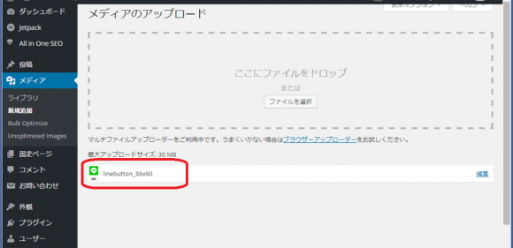 SNSボタンカスタマイズ画像12